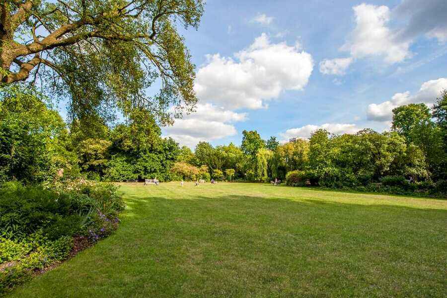 Property photo 7