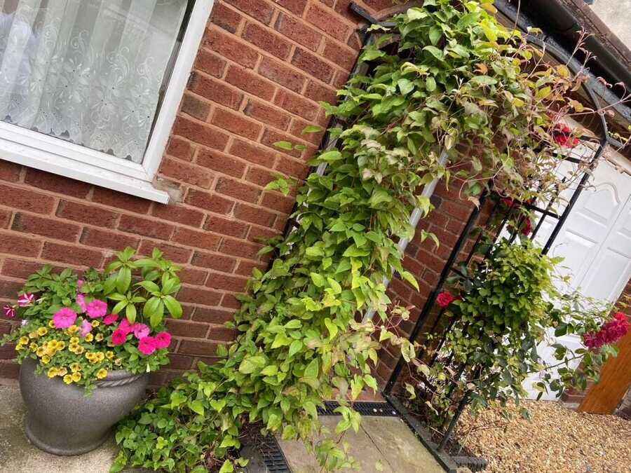 Property photo 6